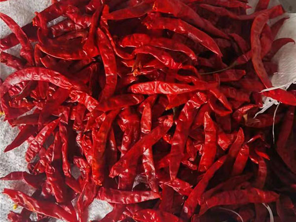 辣椒