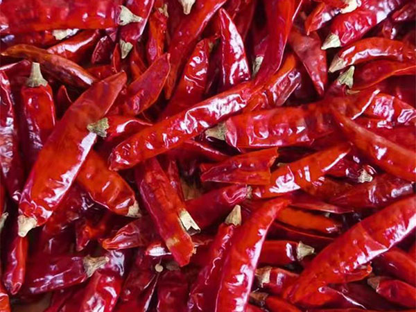 辣椒
