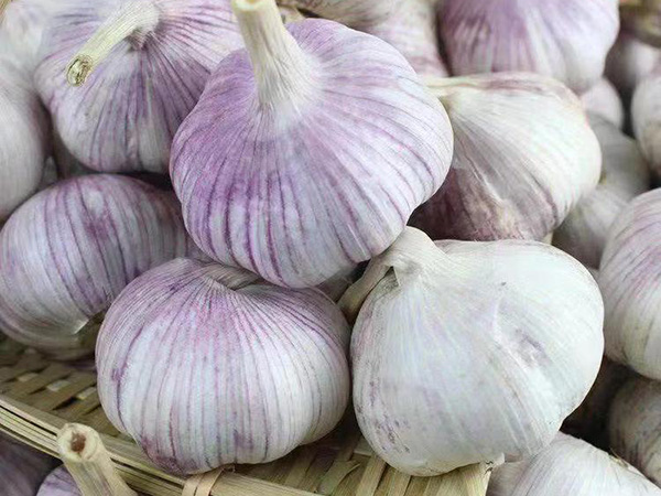 大蒜