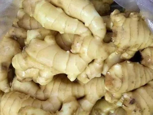 生姜