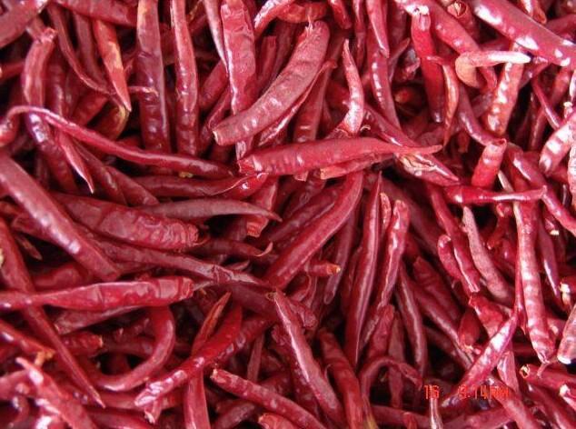 辣椒