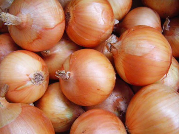 洋葱
