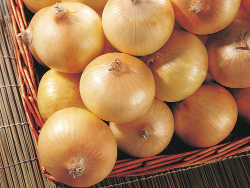 洋葱