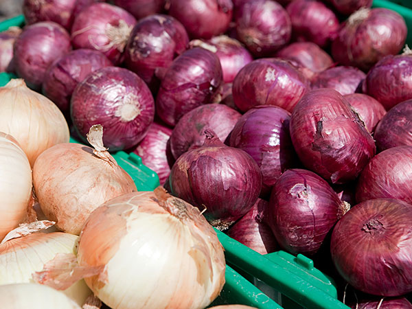 洋葱